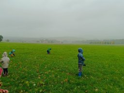 img_20251008_100717