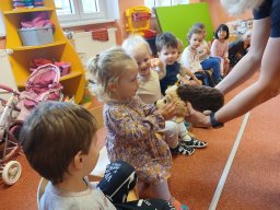 Není drak jako drak