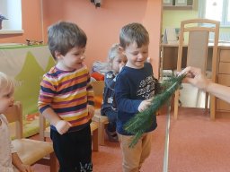 Vítr otrhal stromy do hola