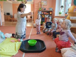 Vítr otrhal stromy do hola