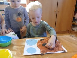 Domácí zvířátka a mláďátka