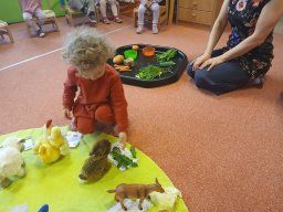 Domácí zvířátka a mláďátka