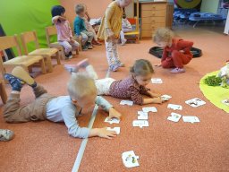 Domácí zvířátka a mláďátka