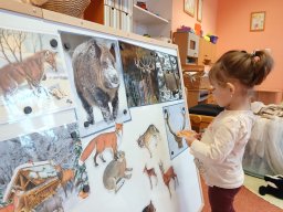 Mrazíci a zvířátka