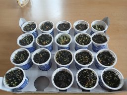 Přípravy na Velikonoce