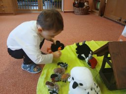 Ptáčci poslové jara