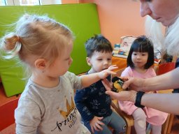 Letí, letí vrabeček, v zobáčku má drobeček