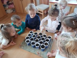 Jak jsme probudili Vílu Sněženku