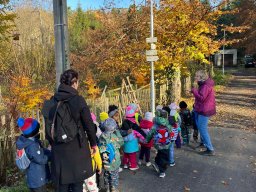 LISTOPAD VE SLUNÍČKU