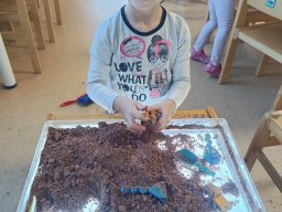 img_20260930_080735